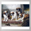 Suche nach bernard hund poster Niedlich