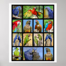 Suche nach parkett poster Ara