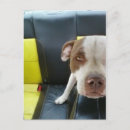 Suche nach bub postkarten Hund
