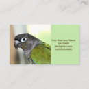 Recherche de aviaire cartes visite Mignon