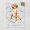 Suche nach saluki poster Persischer windhund