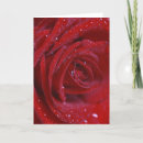 Suche nach liebe rosen karten Rot