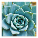 Suche nach grün und braun poster Natur