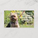 Recherche de york cartes visite Photographie
