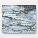 Suche nach plattfisch Natur