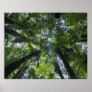 Recherche de auvent art Arbre
