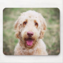 Suche nach lächelnd mousepads Welpe