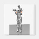 Suche nach muskeln magnete Krafttraining
