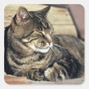 Suche nach utah staat aufkleber Usa