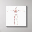 Suche nach menschliches herz leinwandbilder Zirkulation