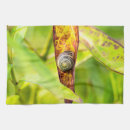Recherche de escargot cuisine linges Nature