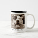 Recherche de amants de pitbull Animaux