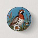 Recherche de oiseau sauvage badges Coloré