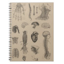 Suche nach vintage anatomie kleine notizbücher Menschlich