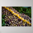 Suche nach morocco poster Africa