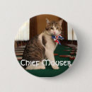 Recherche de souricier Chat