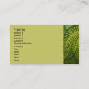 Suche nach farn visitenkarten Natürlich