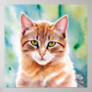 Suche nach cute cat poster Katzen