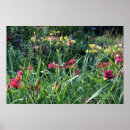Recherche de cottage posters Jardin fleuri