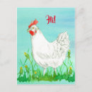 Recherche de leghorn cartes postales Animal