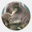 Recherche de ours maman autocollants Animal