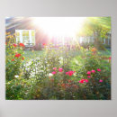 Suche nach sonnenschirme poster Sonnenschein