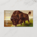 Suche nach bison visitenkarten Säugetier