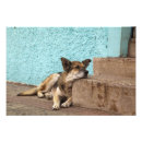 Suche nach valparaiso poster Chile