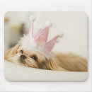 Suche nach kronen mousepads Hunde