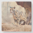 Suche nach gepunktete katze untersetzer Leopard