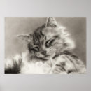 Recherche de sur le lit posters Mignon
