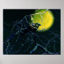 Suche nach schwarze federn poster Krähen