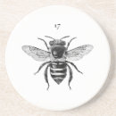 Suche nach bienen untersetzer Insekt