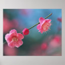 Suche nach pflaume poster Natur