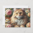 Suche nach viktorianische katzen postkarten Katzenliebhaber
