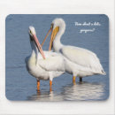 Suche nach lustiger vogel mousepads Tierwelt