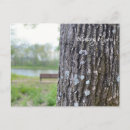 Recherche de banc parc cartes postales Forêt