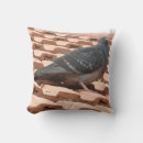 Recherche de pigeons coussins Adorable