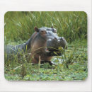 Recherche de hippopotame tapis souris Animal
