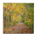 Suche nach herbst fliesen Weg