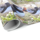 Suche nach papageientaucher geschenkpapier Vogel
