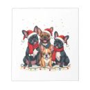 Recherche de bouledogue français blocsnotes Chiens