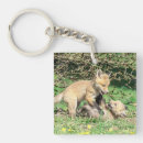 Suche nach kiter schlüsselanhänger Rotfuchs