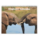 Suche nach elefanten kalender Safari