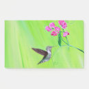 Suche nach kolibri post it Grün