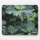 Suche nach französisch polynesien mousepads Tropisch