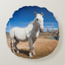 Suche nach chile kissen Lateinamerika