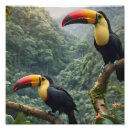Suche nach hübscher vogel poster Niedlich
