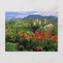 Recherche de crested butte postcards cartes postales Paysage