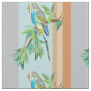 Suche nach budgerigar Australien